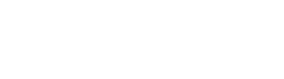 Developers.net Logo White Version